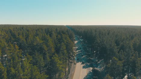 asphalt road with driving cars and pine trees shadows