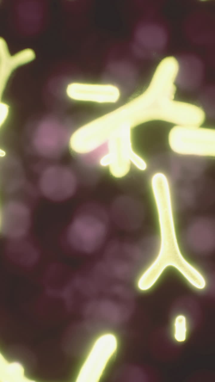 Illuminating microstructures dance in a captivating colorful display