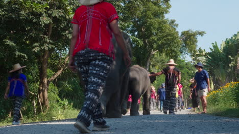 elephants and people walking on a path in a tropical forest
