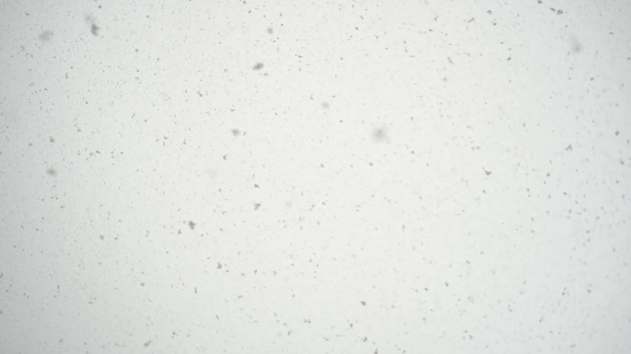 nevando fuertemente con un copo golpeando la lente mientras mira hacia arriba