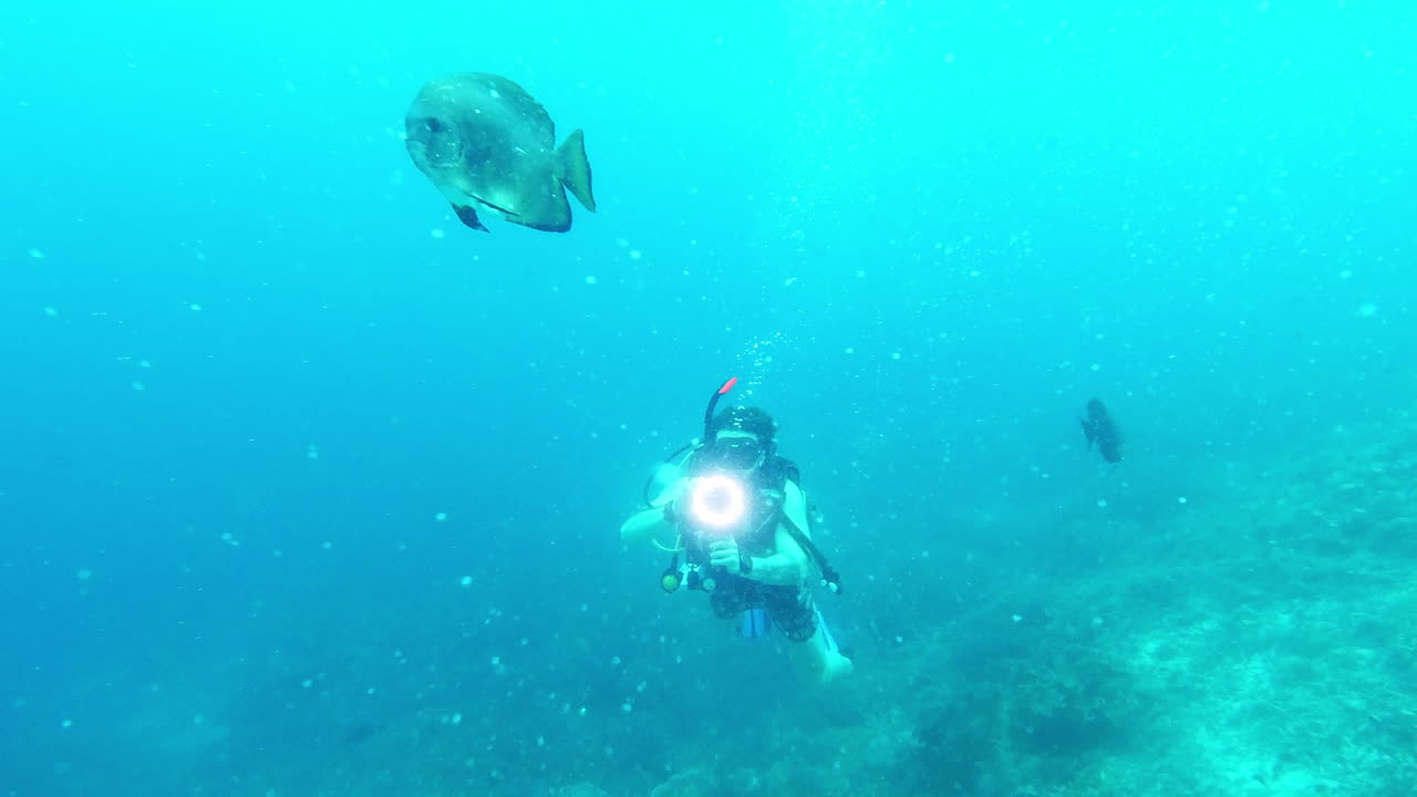 ⁇ 구 ⁇  박 ⁇ 는 단순히 웅장합니다.