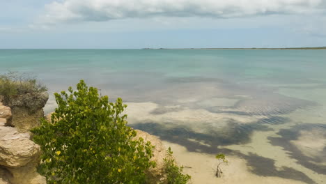 mar caribe con exuberante vegetación en los acantilados costeros de cabo rojo, puerto rico
