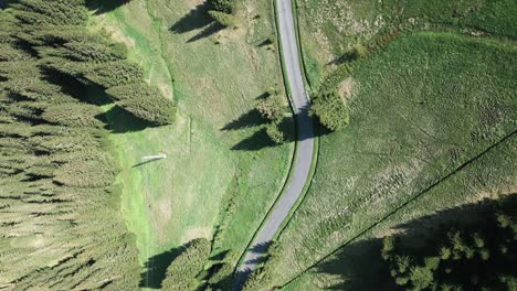 Vertical-aerial-shot-of-a-picturesque-winding-mountain-road-between-meadows-and-forests