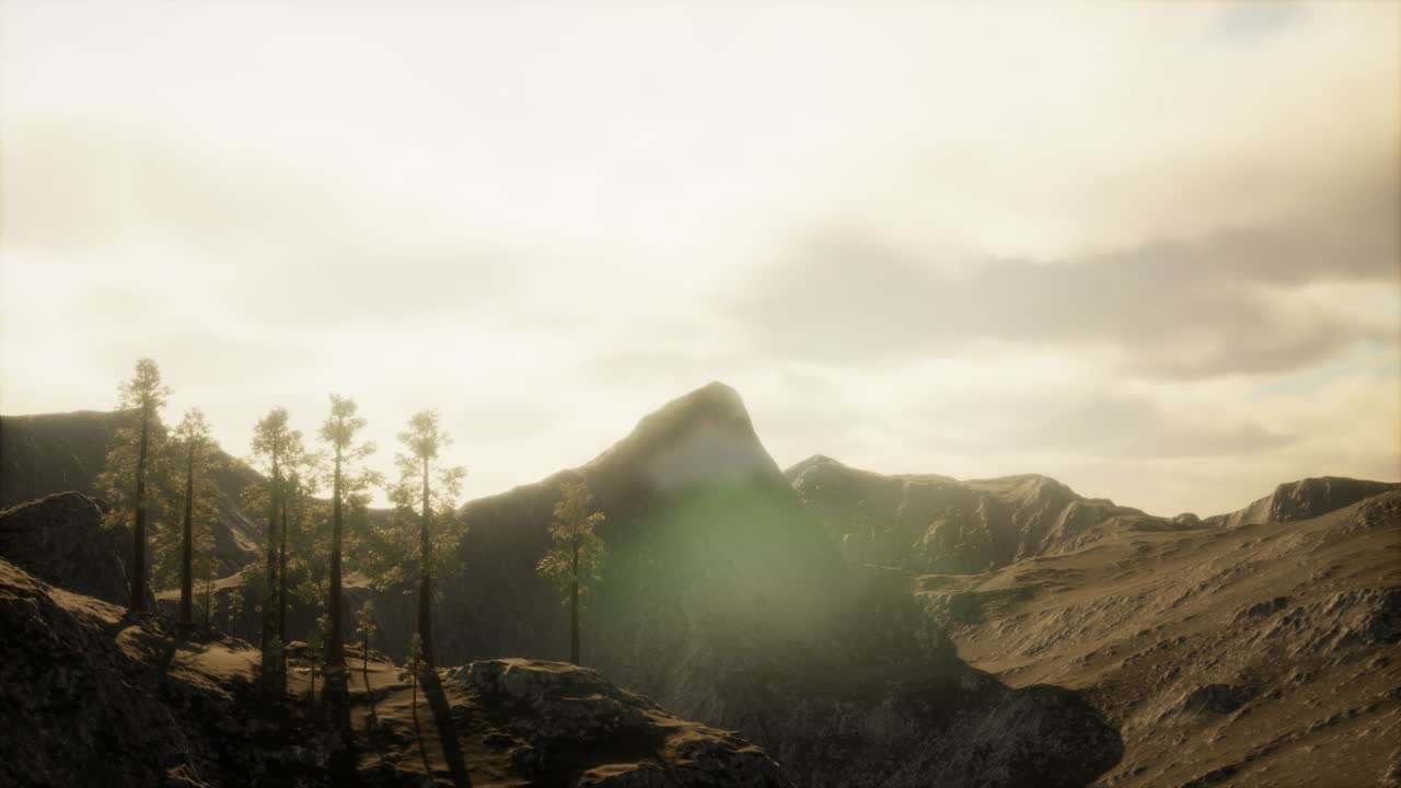 acantilado con árboles y la luz del sol