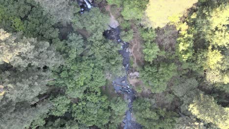 Avión-Canital-En-Bosque-Con-Pequeño-Río