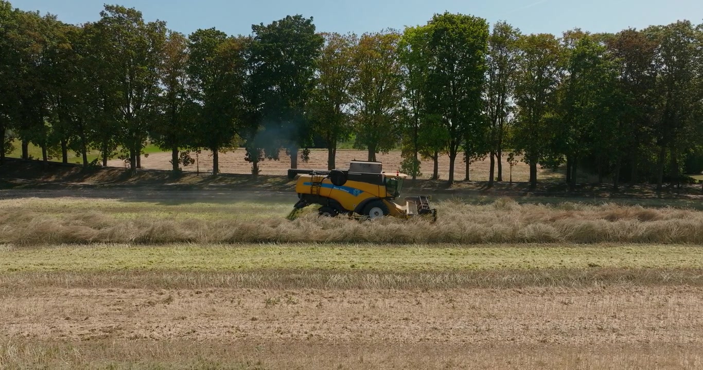 Drone acompanha uma ceifadeira de lado enquanto corta grama alta em um campo agrícola ladeado por árvores sob um céu azul claro de verão
