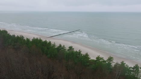 Vista-Aérea-De-Un-Antiguo-Muelle-De-Madera-En-La-Costa-Del-Mar-Báltico,-Día-De-Invierno-Nublado,-Playa-De-Arena-Blanca,-Bosque-De-Pinos,-Postes-De-Madera,-Olas-Golpeando-La-Costa,-Amplio-Tiro-De-Drones-Avanzando