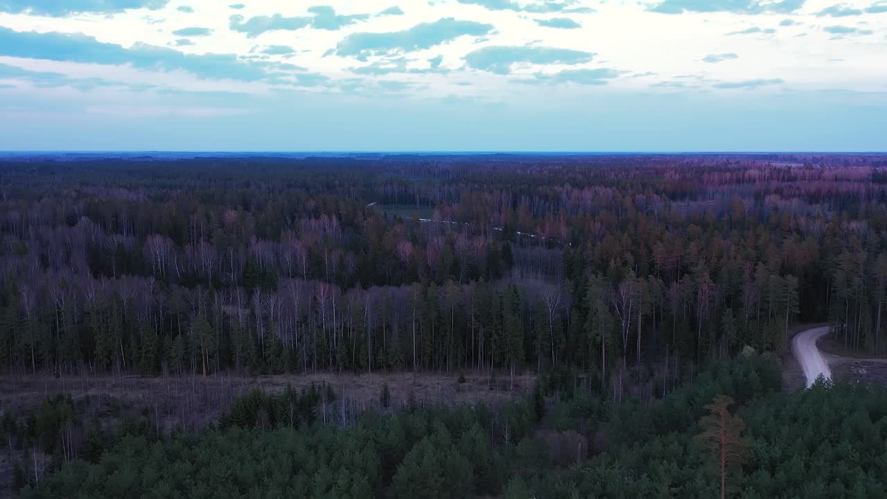 Soratie mutkittelee havumetsän läpi dronekuvassa