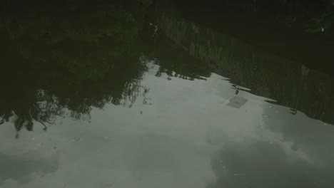 una escena captura un lago sereno con su agua tranquila empañada por la presencia de residuos plásticos desechados flotando en la superficie, ejemplificando la inquietante realidad de la contaminación del agua