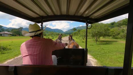 Horse-Carriage-Ride-in-Jungle-Mountain-Valley-POV-Shot