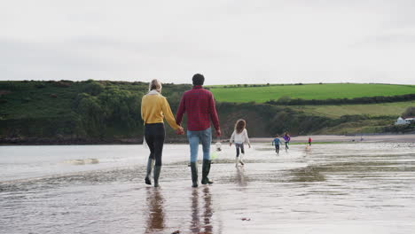 rear view of family with pet dog walking along beach shoreline on winter vacation