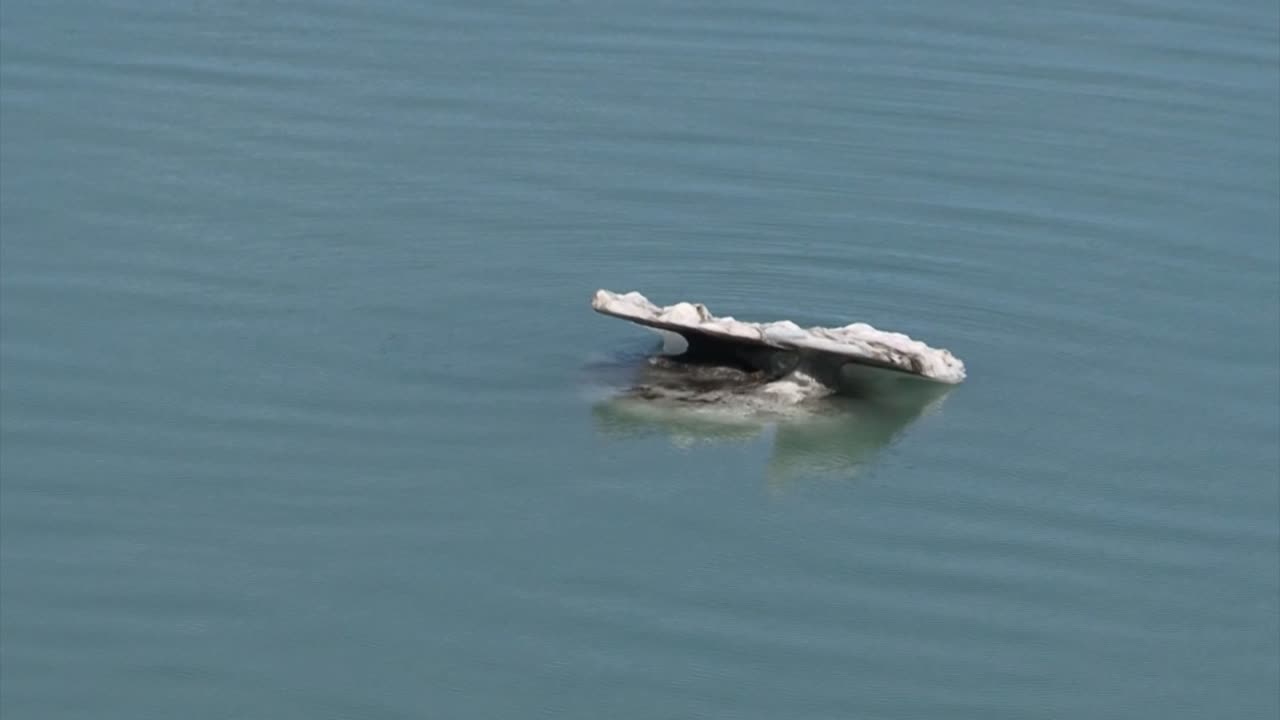 알래스카 글레이셔 베이에 떠 있는 빙하에서 부서진 얼음