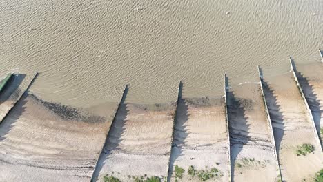 ingle en la playa whitstable kent reino unido pájaros de arriba ojo drone vista aérea
