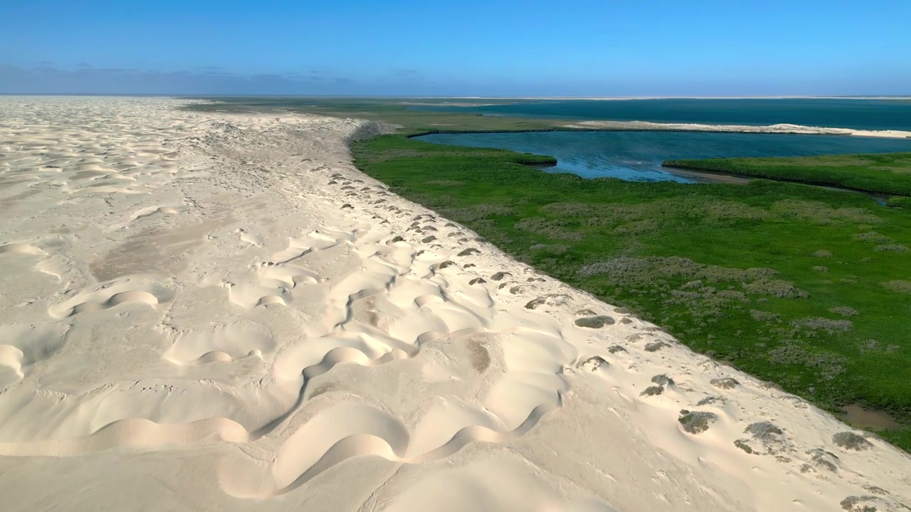 Ujęcie z drona 4K lecące nad dziewiczymi białymi wydmami spotykającymi się z żywymi zielonymi namorzynami i oceanem na Wyspie Magdaleny, Baja California Sur, Meksyk