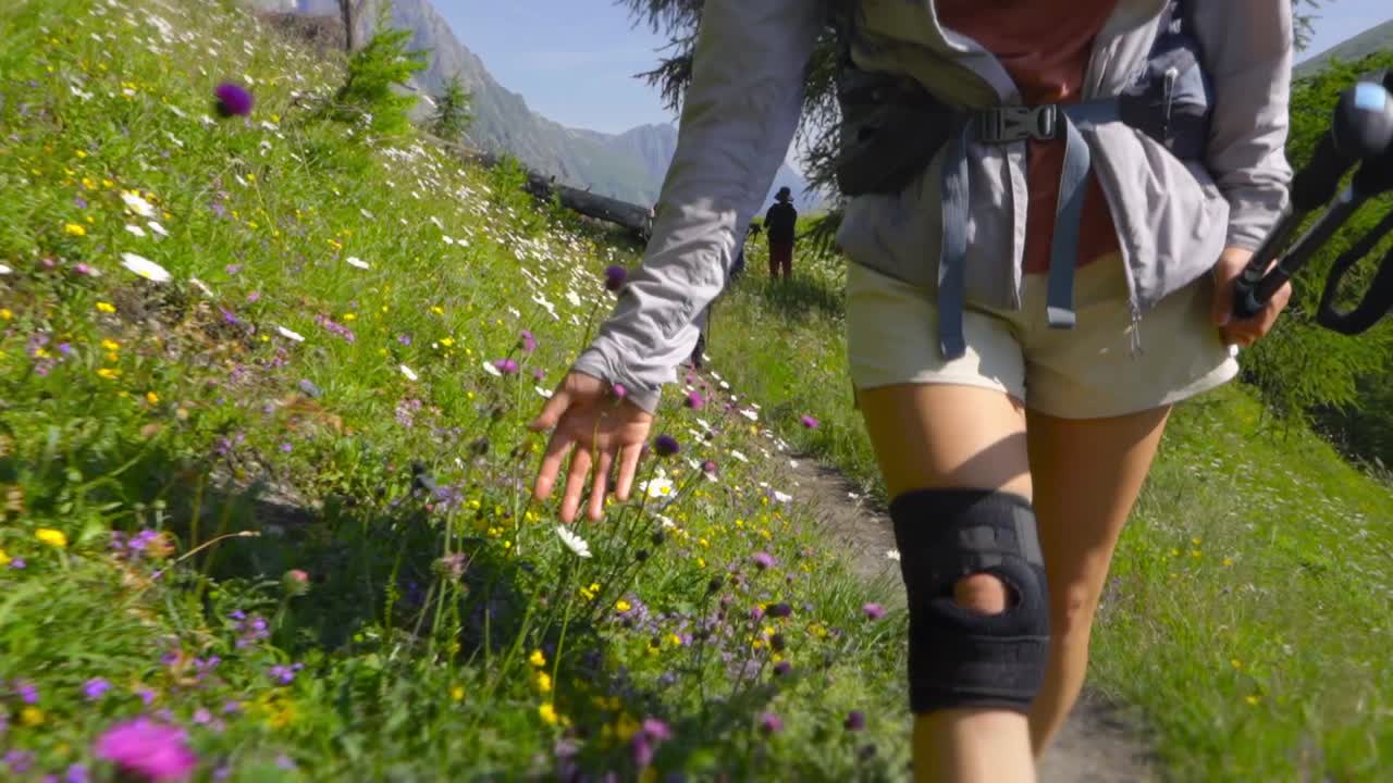 전면 추적은 몬트 블랑 지역 꽃을 기 위해 손을 고 야생 꽃 길을 따라 는 여성 하이커를 따릅니다.