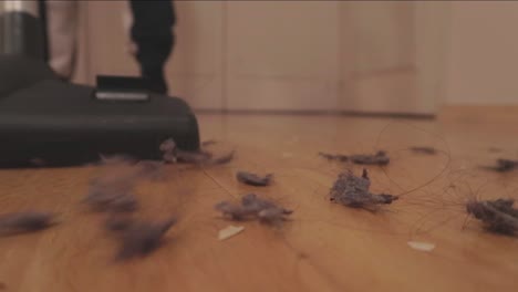 man sweeping disgusting wooden floor full of dust and hair with electric vacuum cleaner indoors