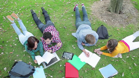 students studying together on the grass