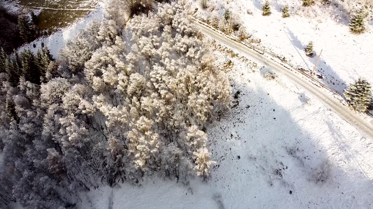 vista aérea sobre un bosque cerca del pueblo de marisel en las montañas apuseni