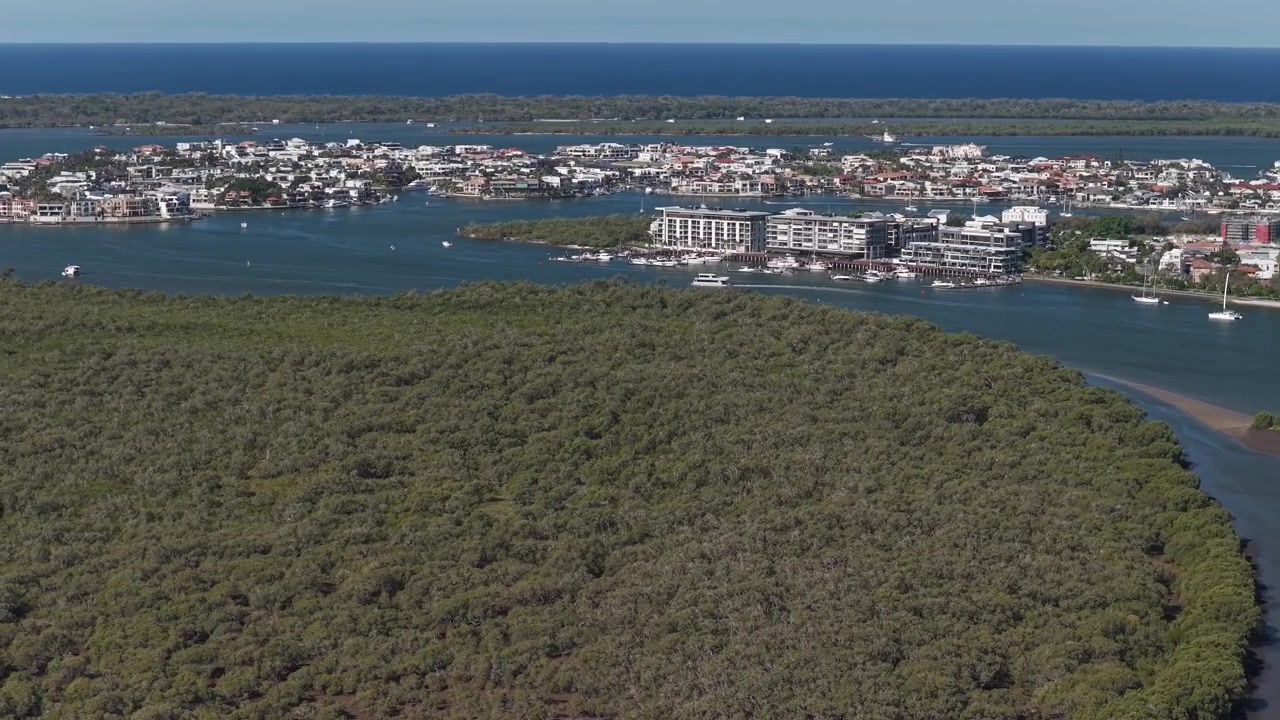 Bosque de manglares en la Isla Coomera junto al Río Coomera - Paradise Point, Queensland, Australia. - toma aérea.