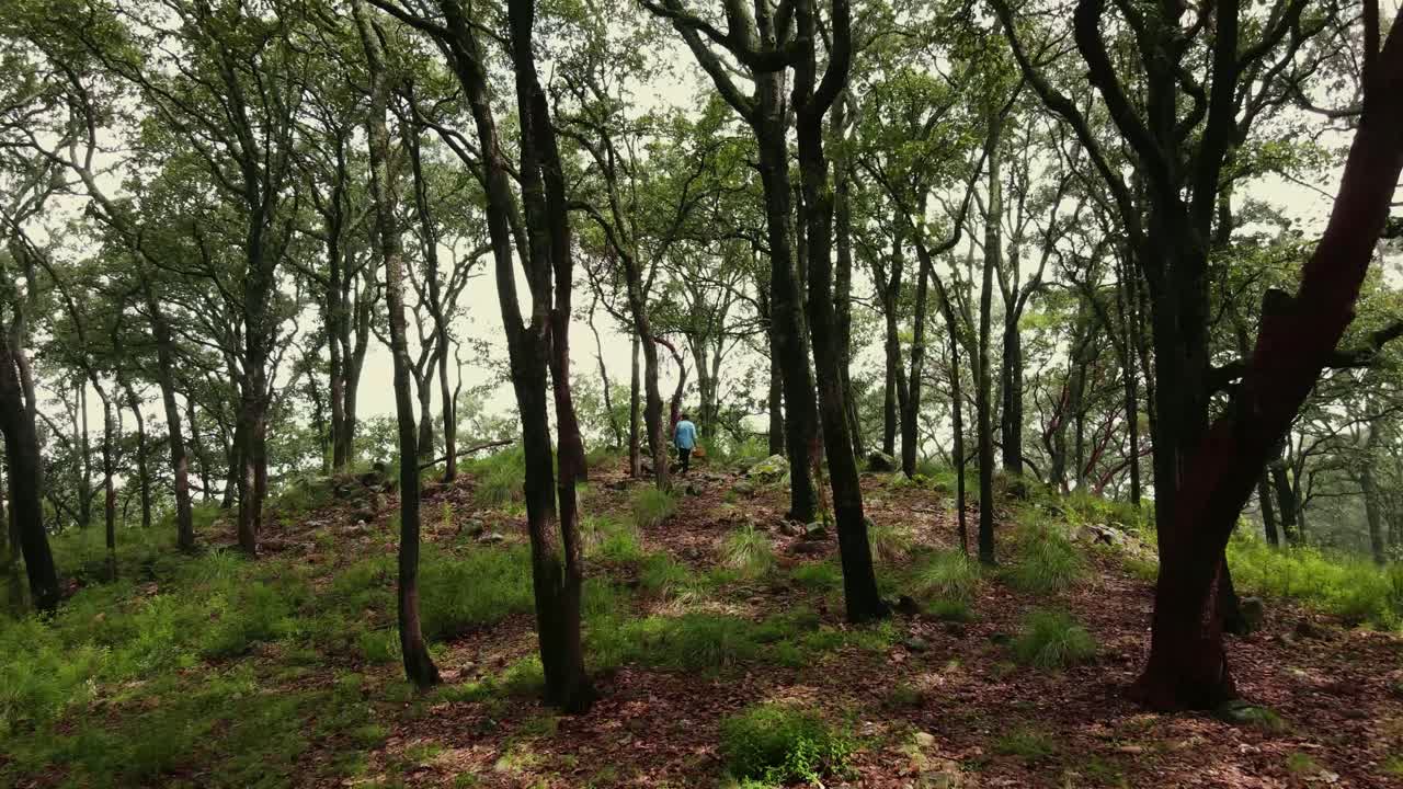 Woman with wicker basket standing among tall trees