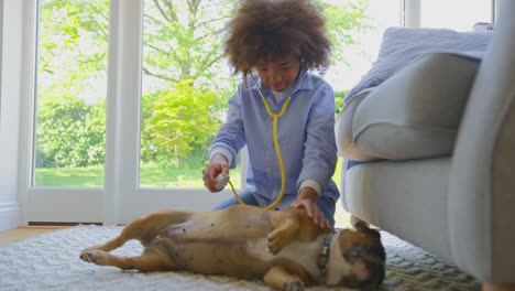 boy pretending to be veterinary surgeon at home examining pet french bulldog with stethoscope