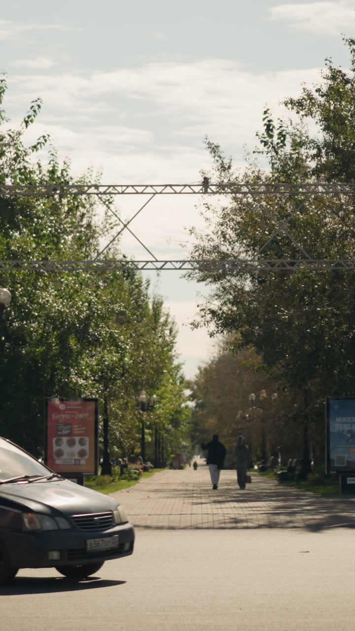 한낮에 차들이 나무가 늘어선 교차로에 접근하고 있어요. 택시와 자가용, 보행자 횡단보도 표지판, 교통 신호, 광고판, 잎이 무성한 나무, 아스팔트 도로, 부드러운 햇빛이 있는 도시 교통 풍경입니다.