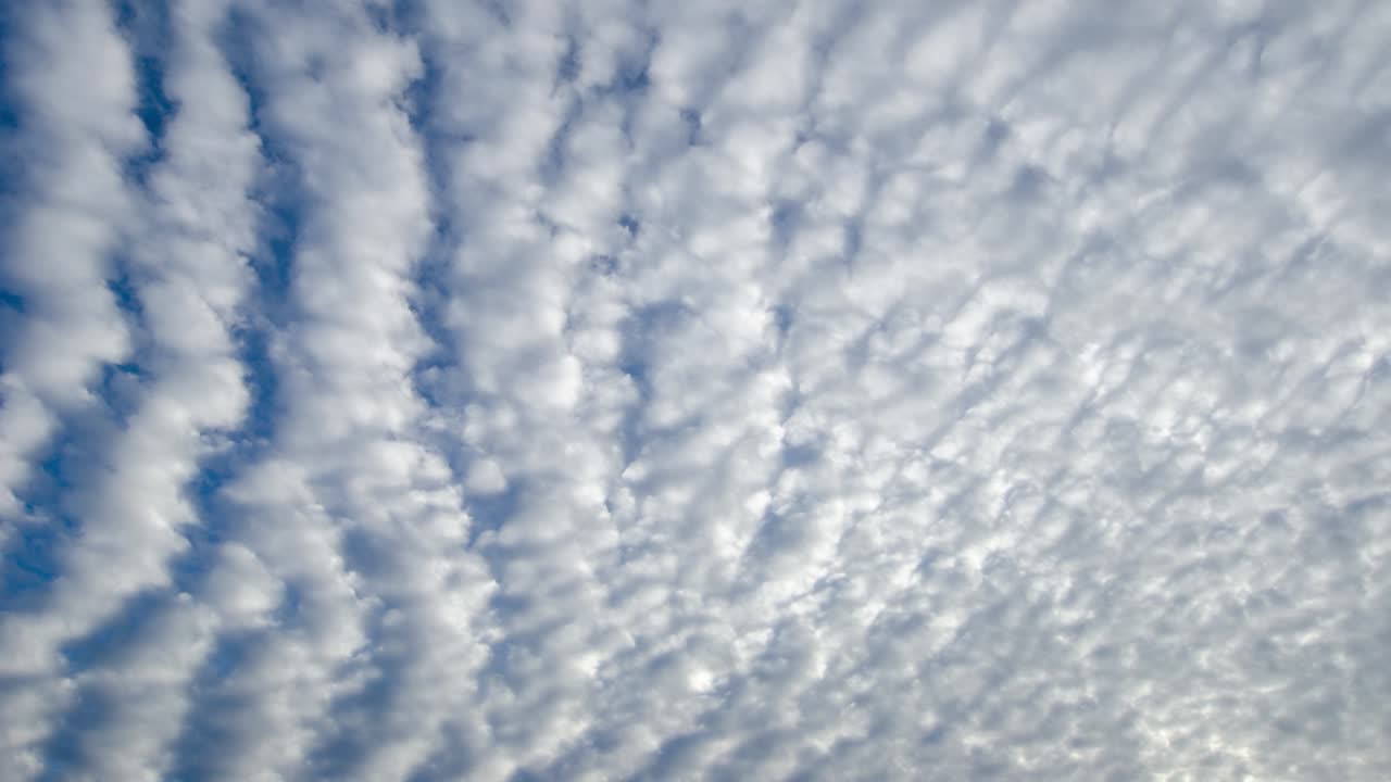 tiro de lapso de tiempo de nubes altocúmulos blancas que pasan por encima de la cabeza 1