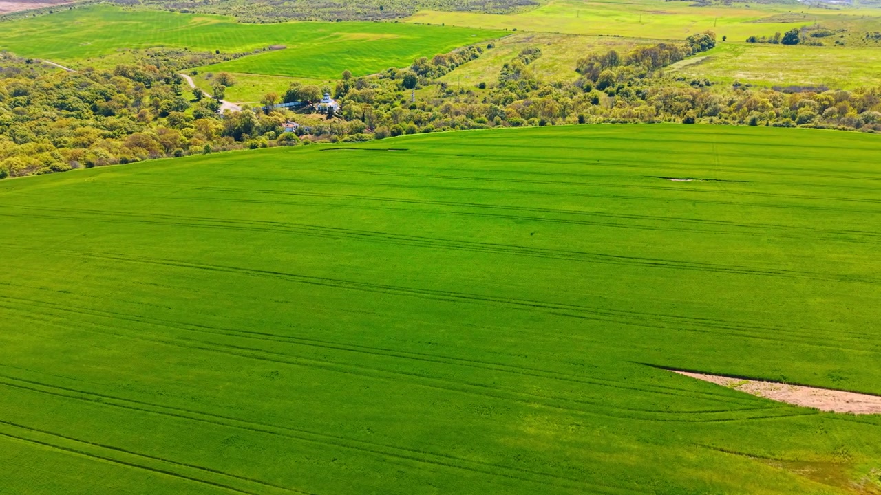 Drone shot of green wheat fields near rural village. Aerial perspective of lush green crop fields, farm tracks, and distant trees with a small building.