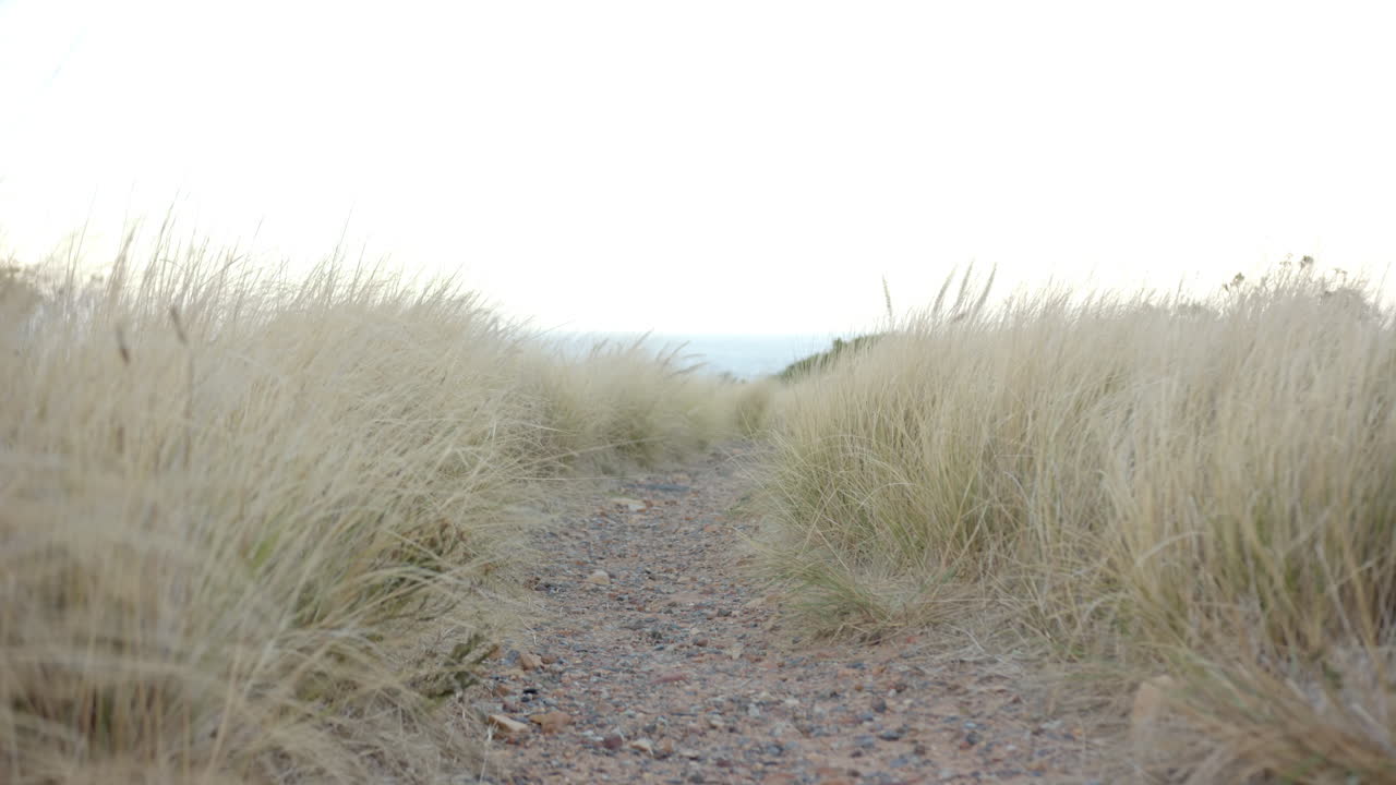 Walking on rocky path through tall grass, enjoying mountain hike adventure, copy space