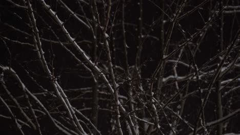 la nieve cubre ramas de árboles en la noche de invierno, copia espacio con fondo de cielo oscuro, tema misterioso