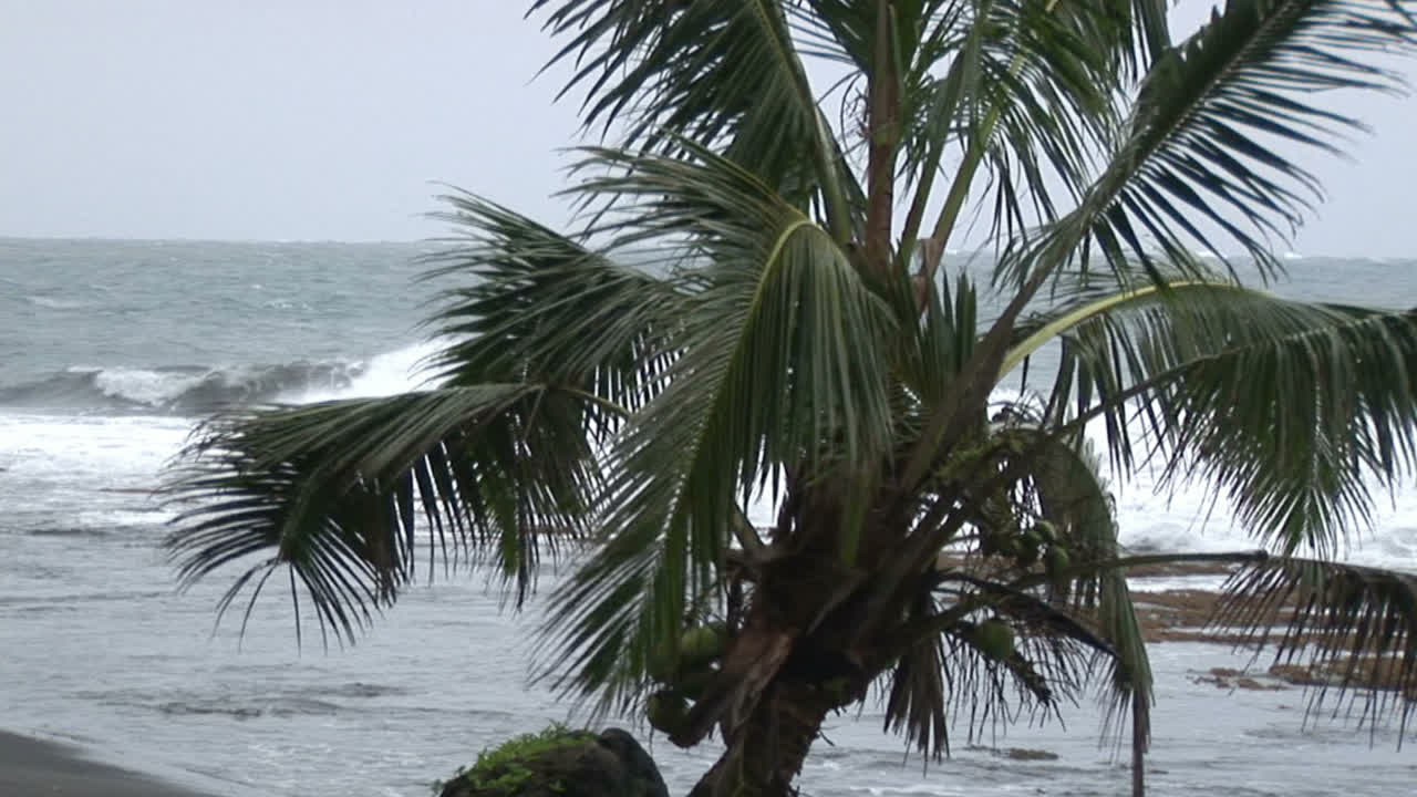 Stock Footage Hurricane