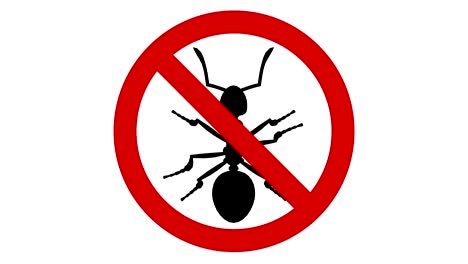 ant pest in prohibited sign, cg animation