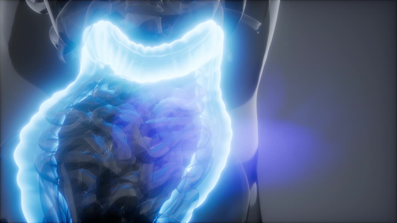 Human Colon Radiology Exam