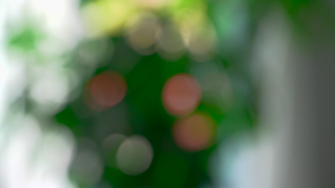 el bokeh 02
