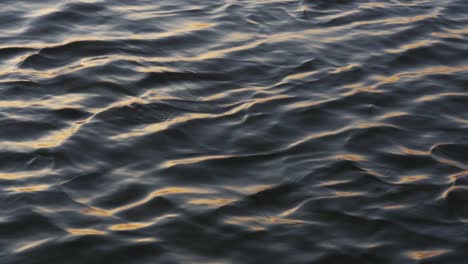 steady shot of danubian water with sunrise light reflections