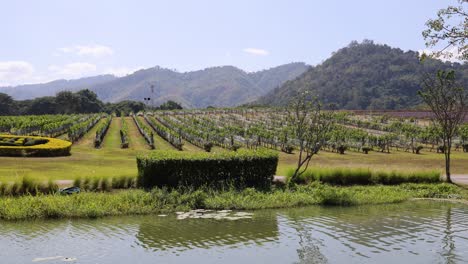 panoramic view of a lake with surrounding mountains