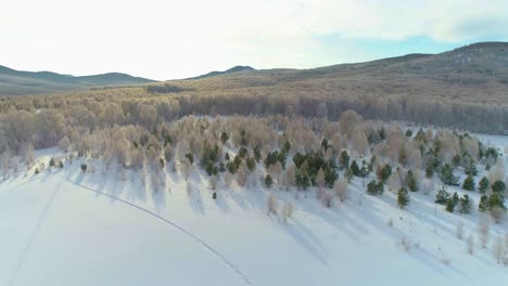 Paisaje-De-Invierno