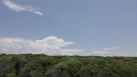 Playa-Desierta-De-Dunas-De-Arena-Selva-Tropical-Paisaje-Drone-Se-Eleva-Hacia-Arriba