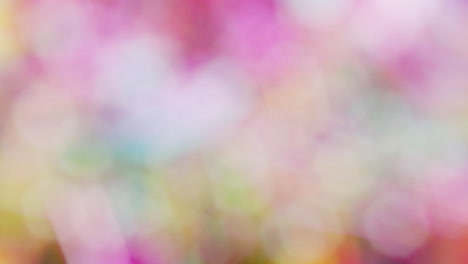 luces abstractas y movimiento