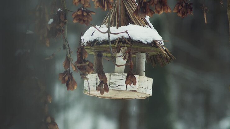Eurasian blue tit or titmouse birds fly around and eat from snowy wooden feeder