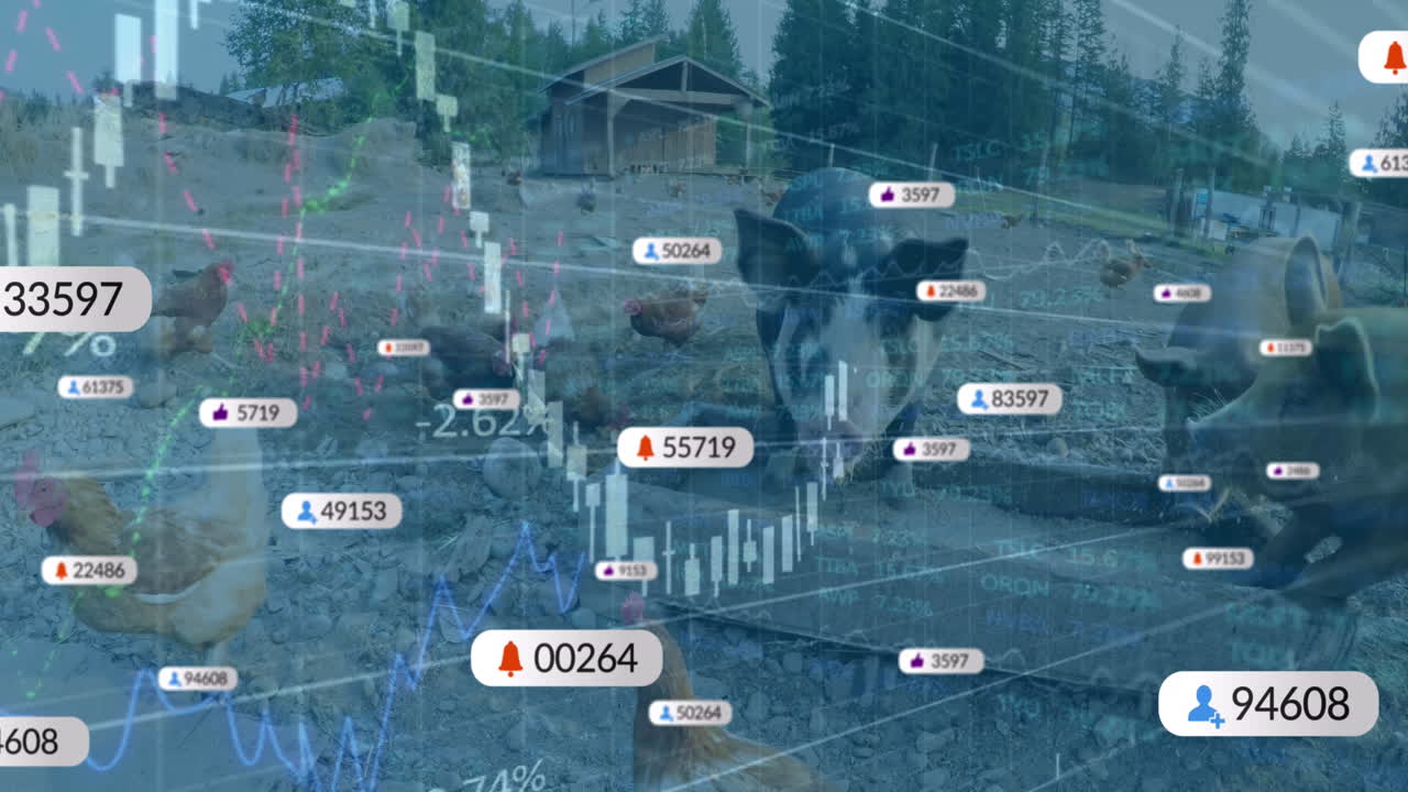 농장 동물에 대한 데이터 처리의 애니메이션