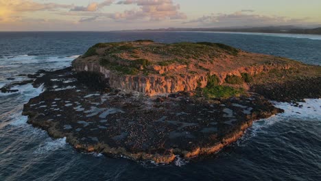 aerial view of cook island at dusk - cook island nature reserve in the coast of fingal head, nsw, australia