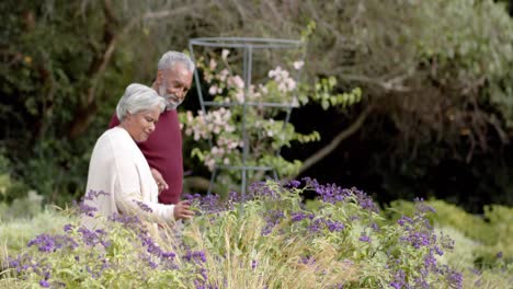 senior biracial couple walking and touching flowers in sunny garden, unaltered, in slow motion