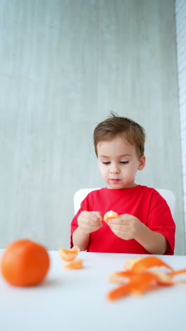 happy caucasian child eating oranges. toddler boy peels the fruit piece. healthy food concept. vertical video.