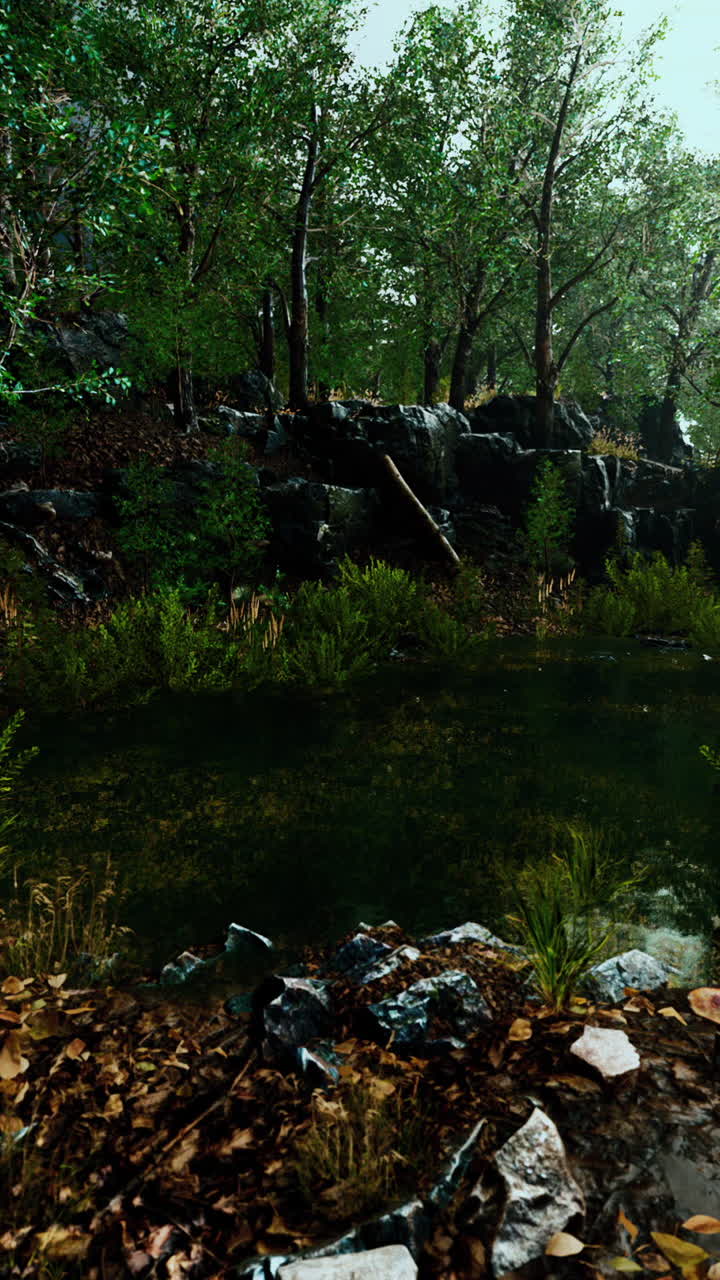 un bosque exuberante con un arroyo y rocas