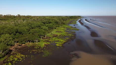 Natural-tidal-flats-and-mangrove-forest,-sediments-deposited-by-tides-and-Rio-de-la-Plata-river-at-El-Destino-Natural-Reserve-in-Buenos-Aires,-aerial-dolly-in-shot