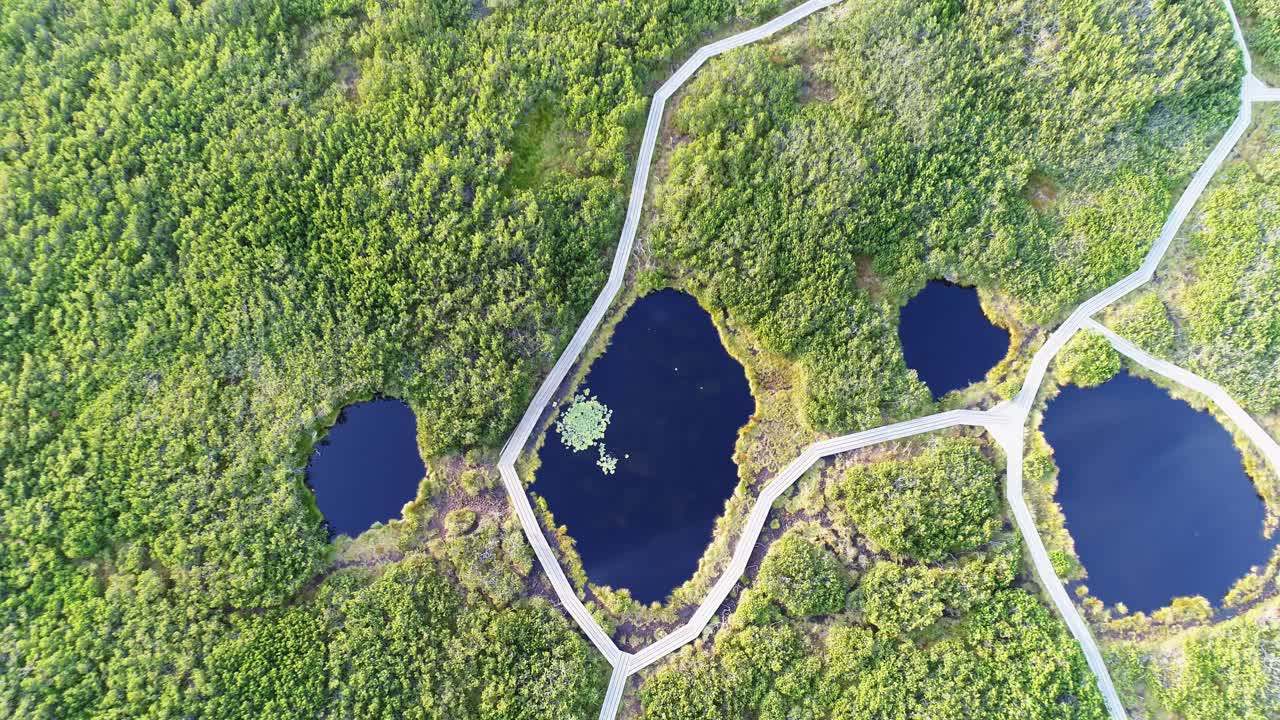 bird's-eye view of Lovrenska Lakes. Dense forest and wooden pathway