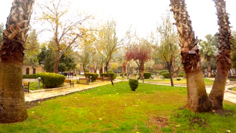 wintry park near urfa castle with palms and some trees panorama