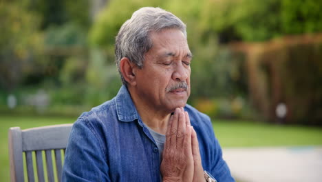 praying, hands and senior man outdoor in garden