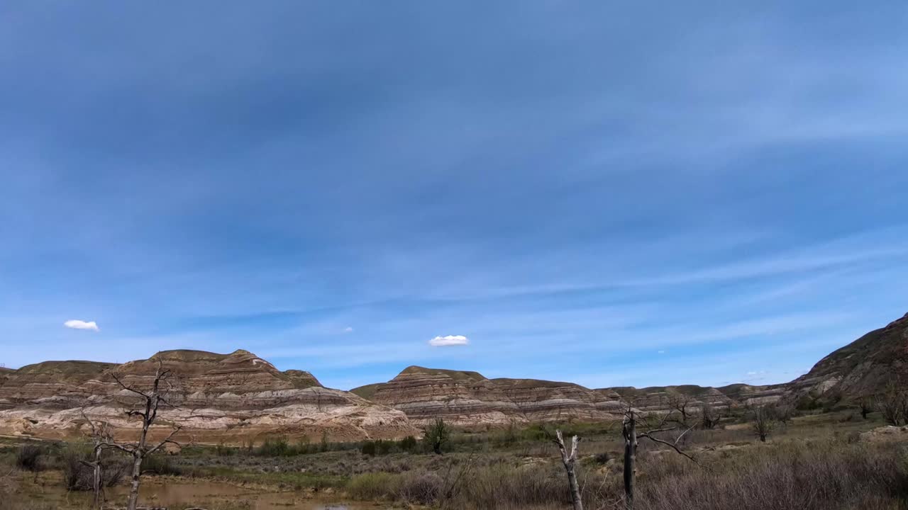 Traveling past mountains in a desert area with dead trees and grass on a sunny day.
